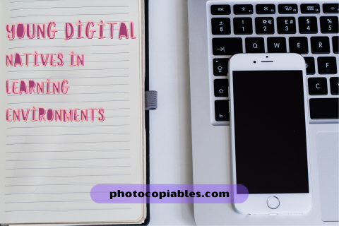 Young Digital Natives in Learning Environments blog post picture