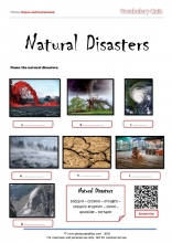 natural disasters vocabulary quiz